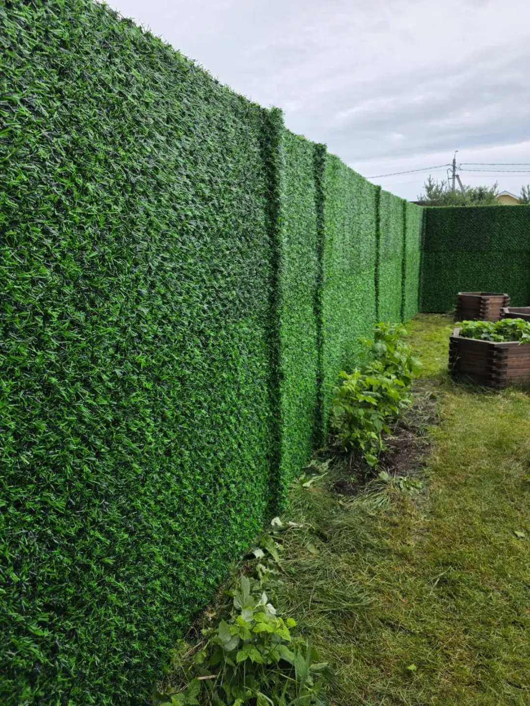 Вечнозеленый забор Grass Fence 37м фото 1 в Барнауле
